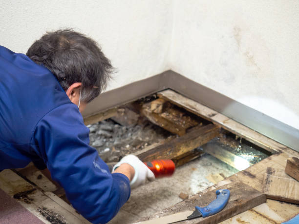Water Damage Restoration in Idaho Falls, ID