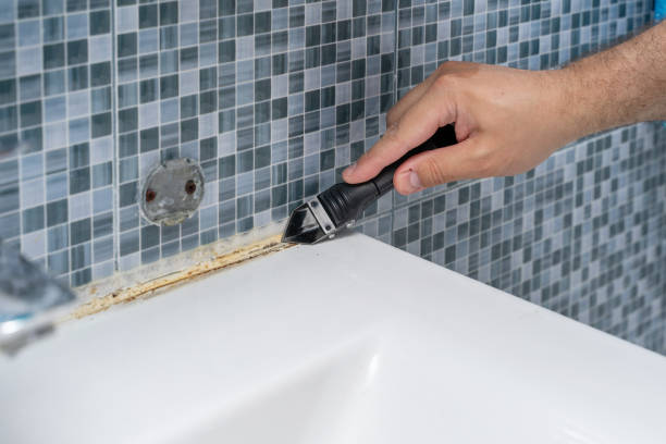 Best Residential Mold Removal  in Aho Falls, ID